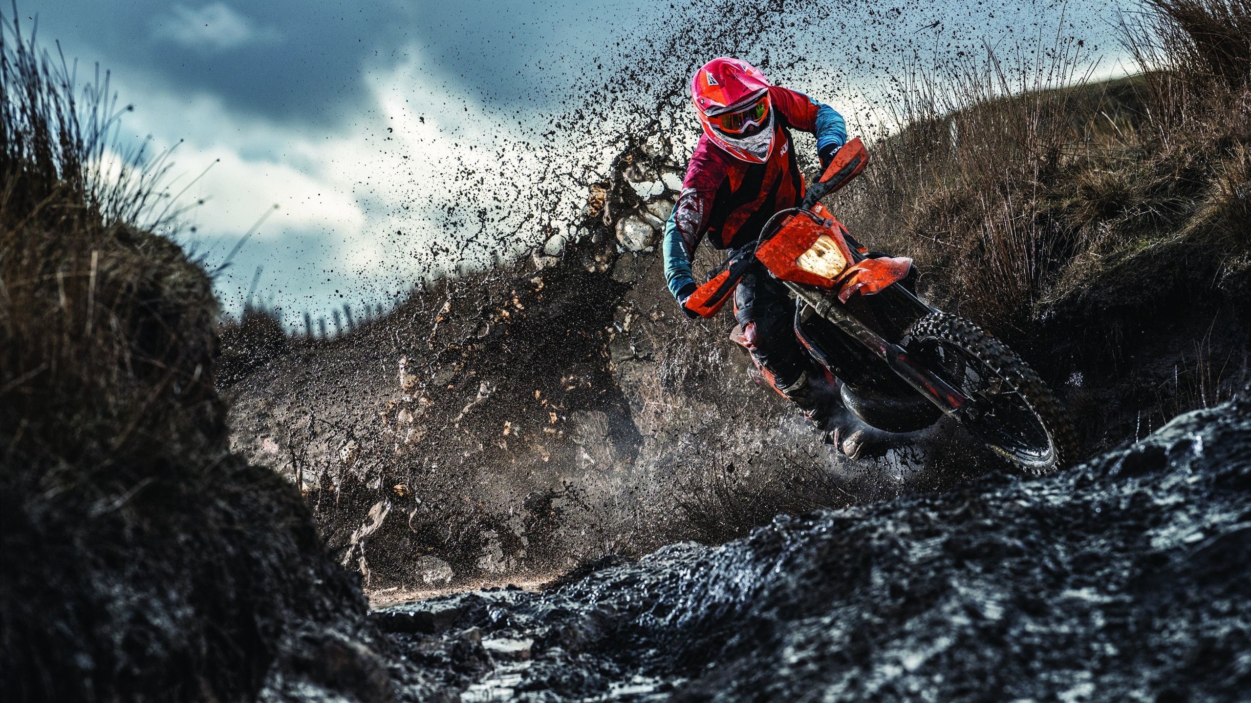 艾比·德尔福：坚如磐石的防守能力，成为南非队的后防屏障，《艾比·里德尔》